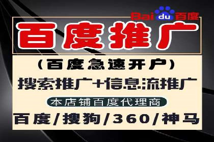 竞价排名案例：快速抢占市场先机